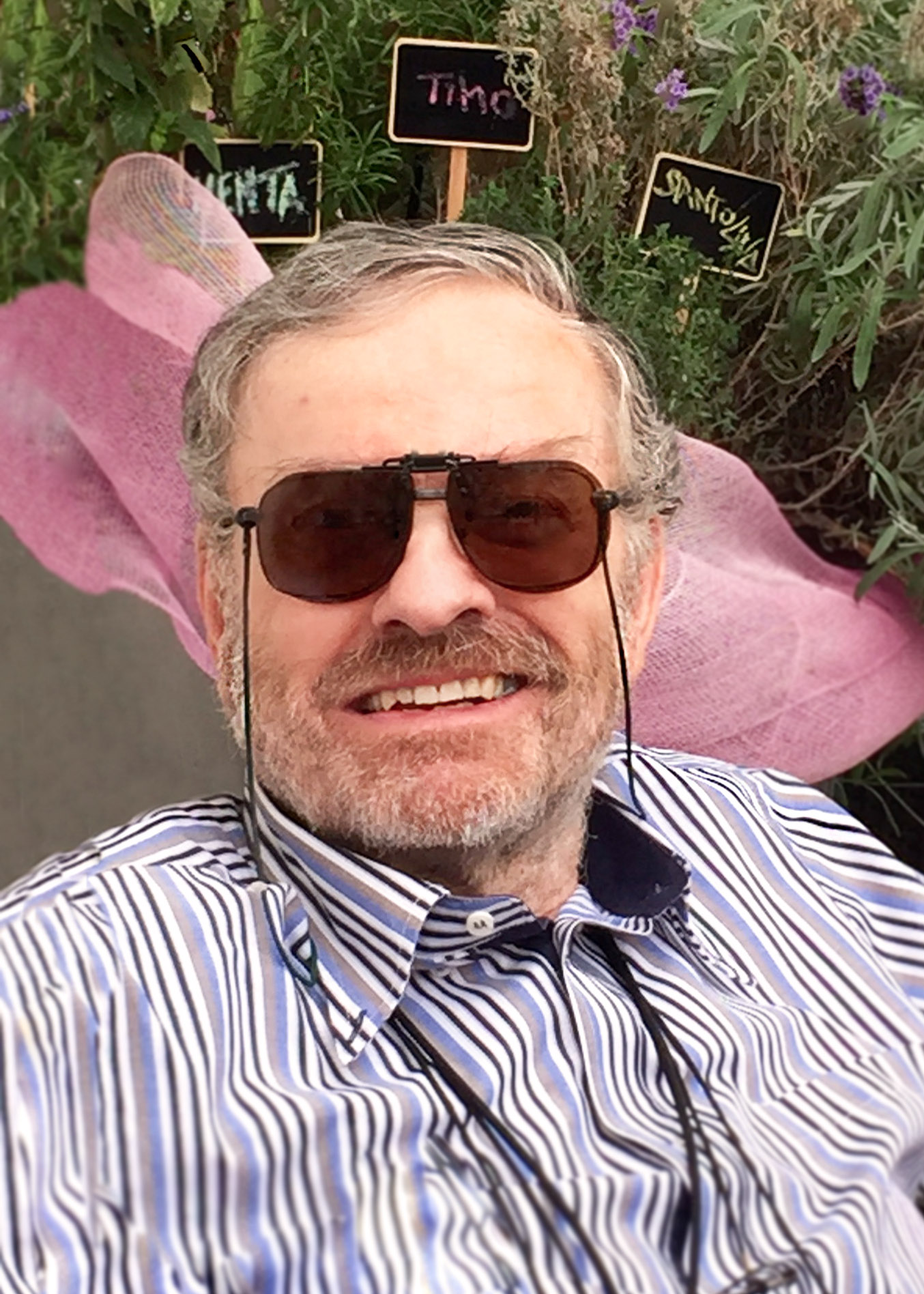 STEFANO SILLI